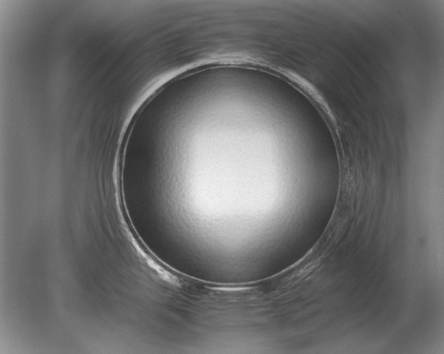 X0000079301343200612011740