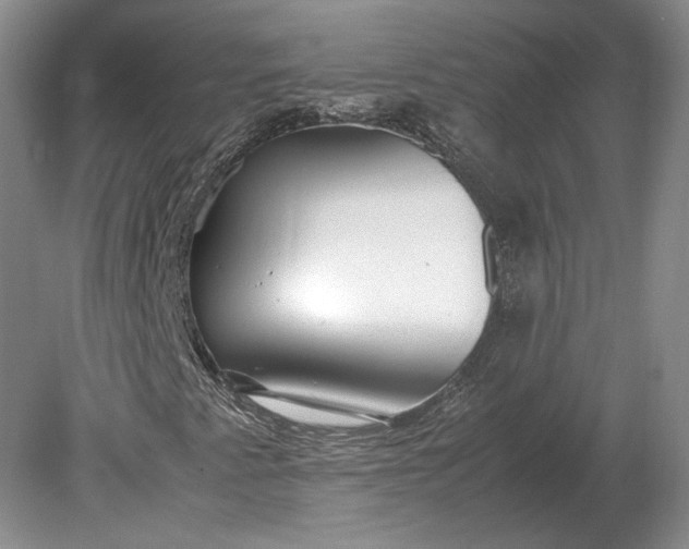 X0000079301345200612011739