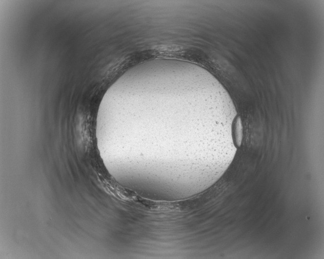 X0000079301346200612011739