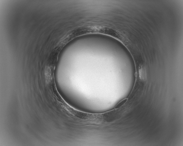 X0000079301347200612011739