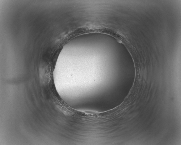 X0000079301348200612011739