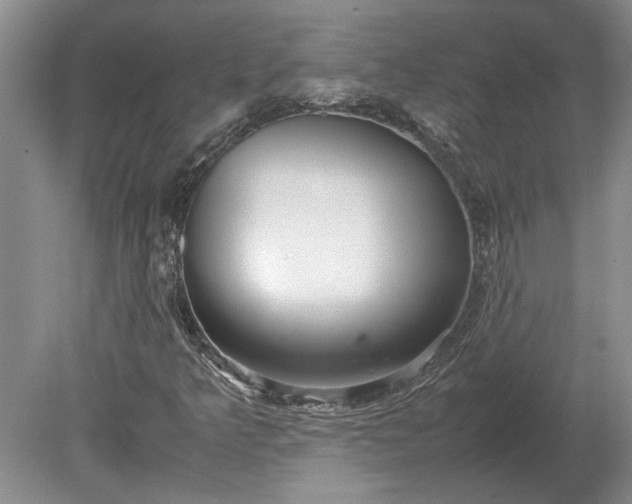X0000079301349200612011739