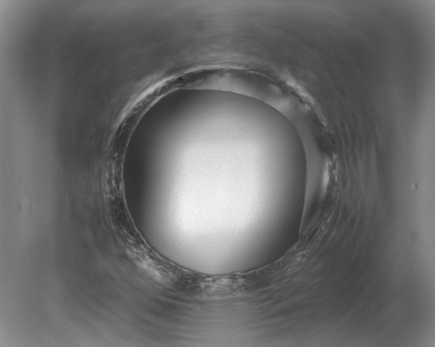 X0000079301352200612011739