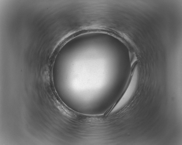 X0000079301356200612011739