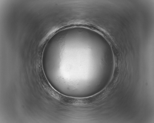X0000079301359200612011739