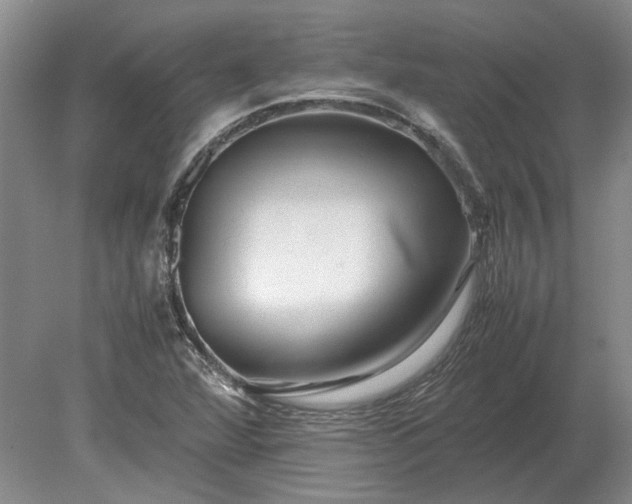 X0000079301360200612011739