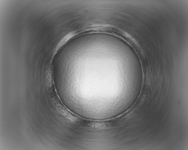 X0000079301362200612011739