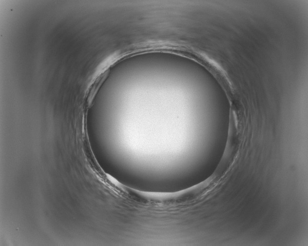 X0000079301365200612011739