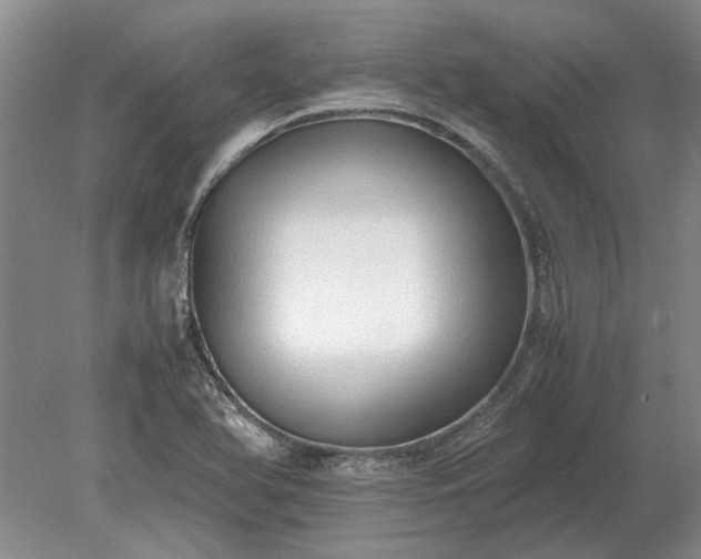 X0000079301366200612011739