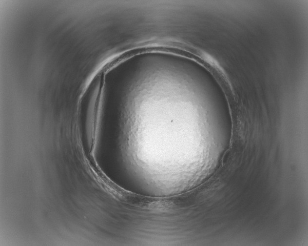 X0000079301368200612011739