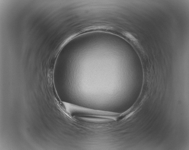 X0000079301369200612011739