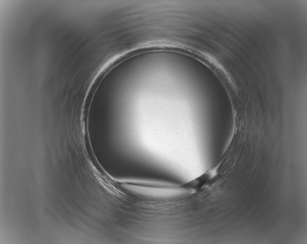 X0000079301372200612011739