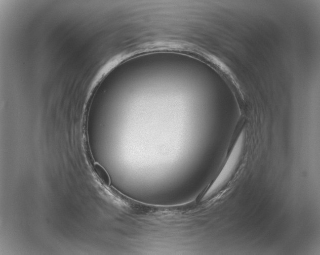 X0000079301373200612011739