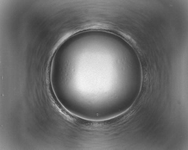 X0000079301375200612011739