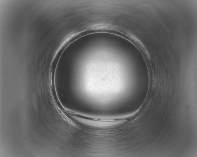 X0000079301376200612011739