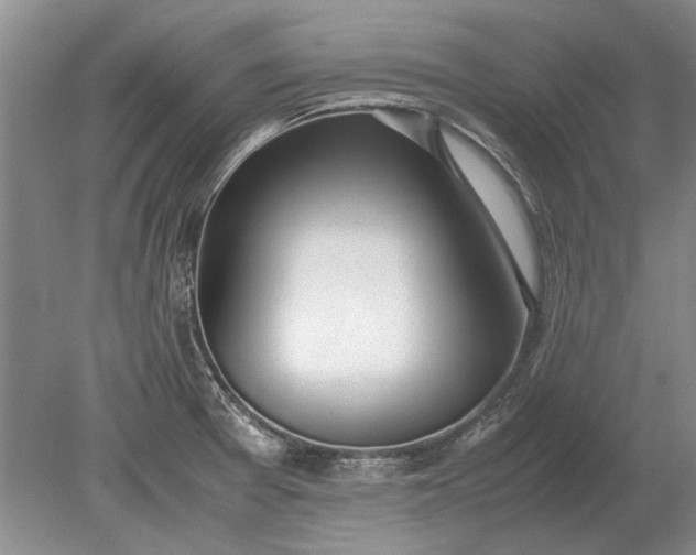 X0000079301377200612011739