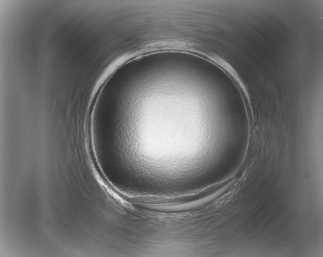 X0000079301389200612011738