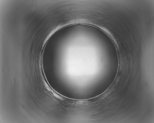 X0000079301390200612011738