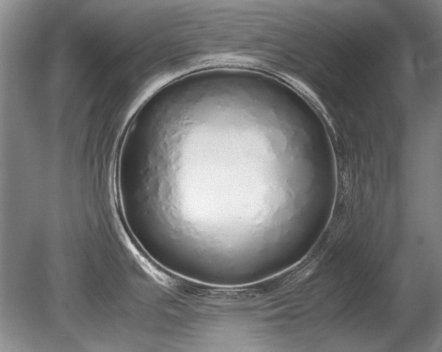 X0000079301391200612011738