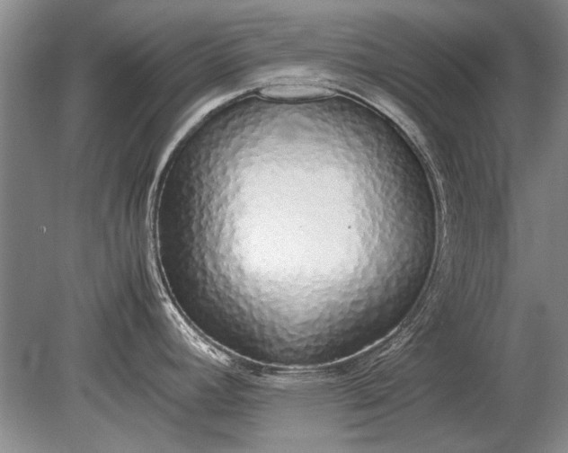 X0000079301392200612011738