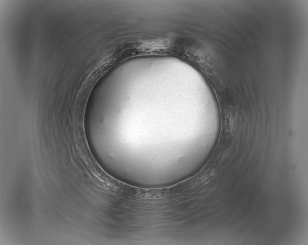 X0000079301393200612011737