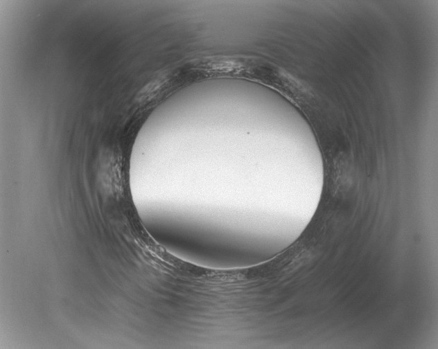 X0000079301394200612011737