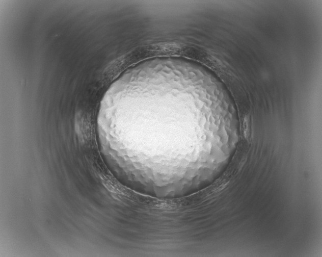 X0000079301395200612011738