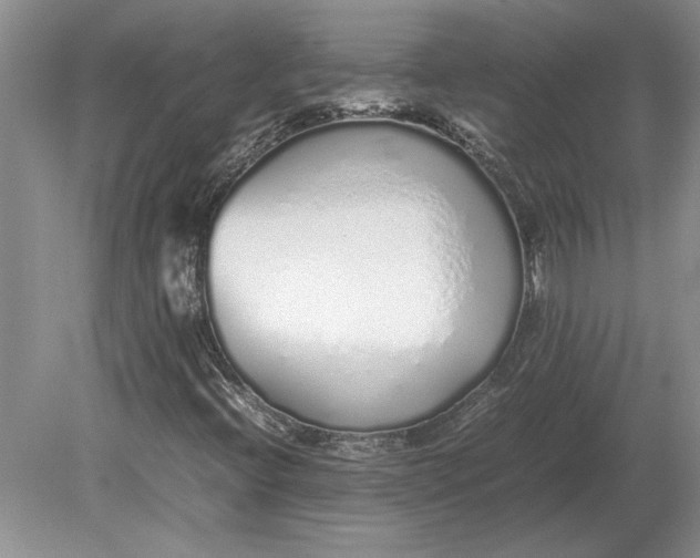 X0000079301396200612011738