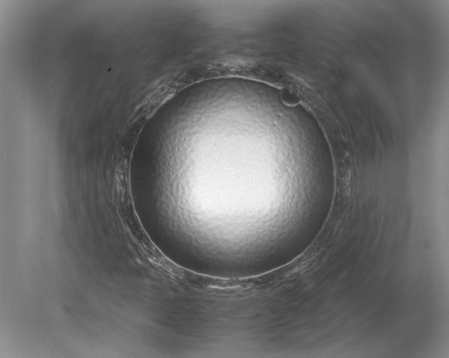 X0000079301397200612011738
