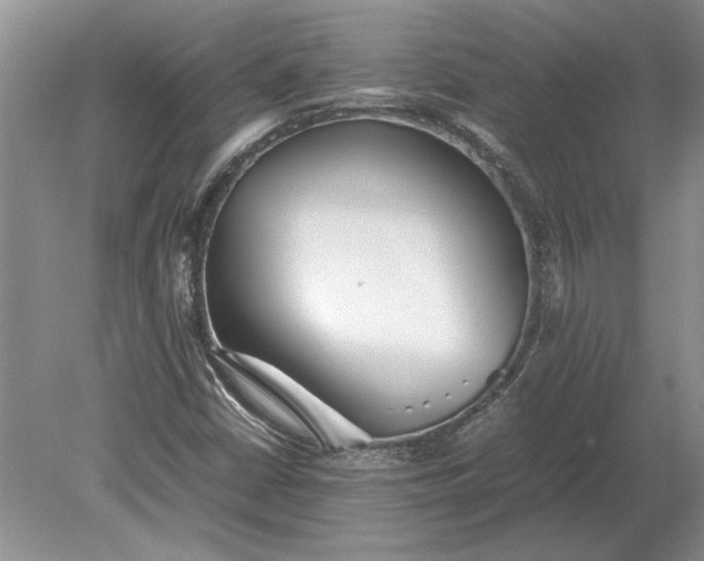 X0000079301402200612011738