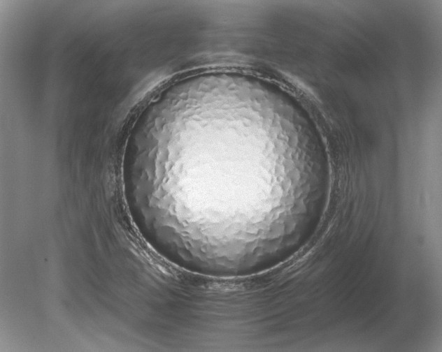 X0000079301407200612011738