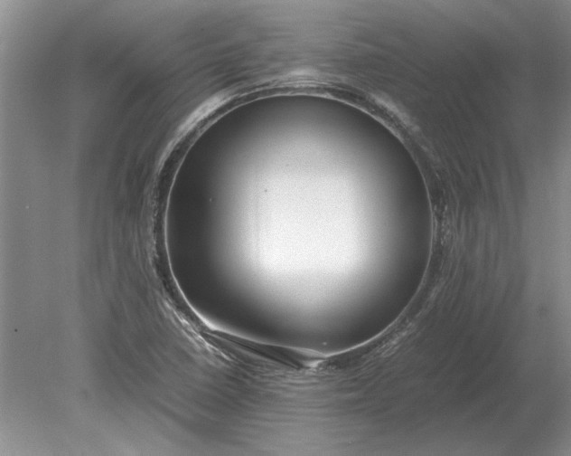 X0000079301410200612011738
