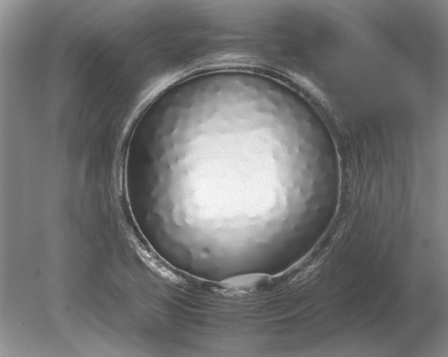 X0000079301413200612011738