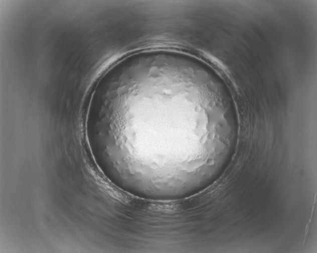 X0000079301415200612011738