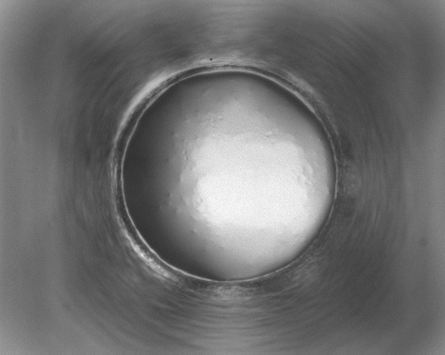 X0000079301416200612011738