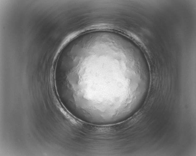 X0000079301421200612011738