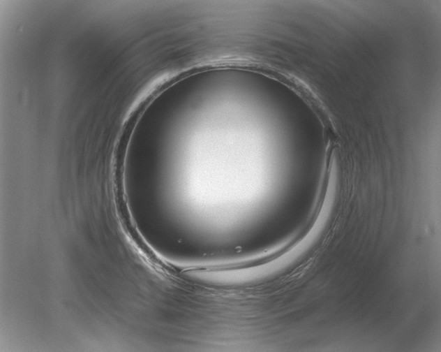 X0000079301422200612011738
