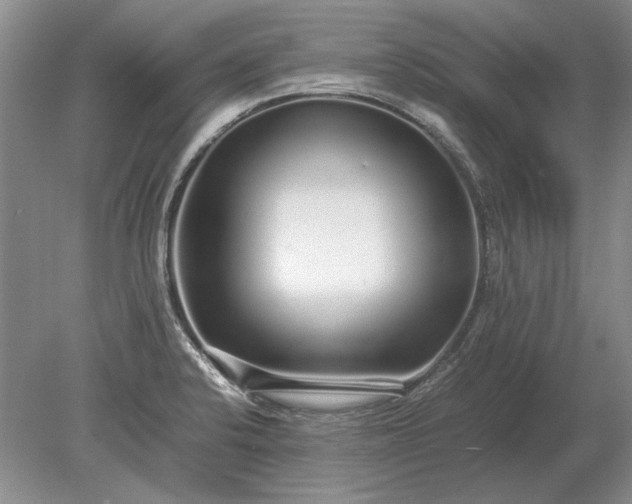 X0000079301424200612011738