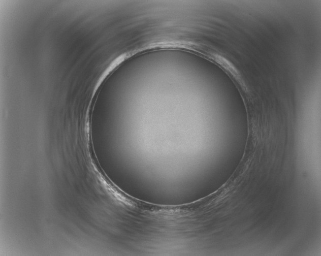 X0000079301428200612011738