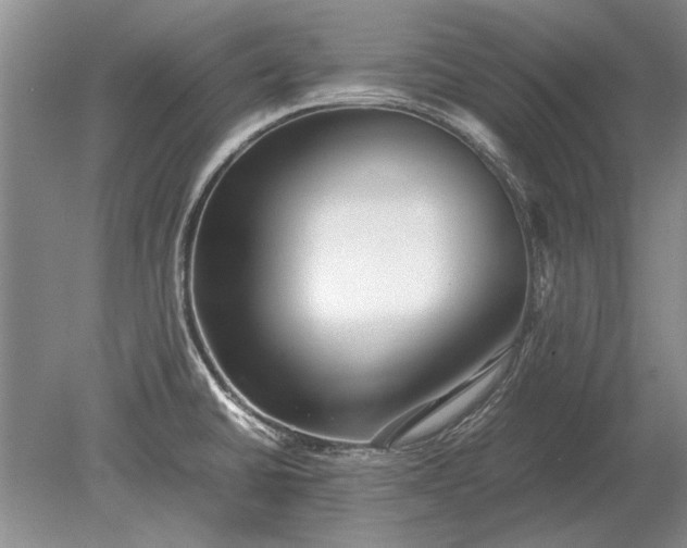 X0000079301430200612011738