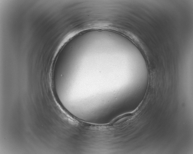 X0000079301432200612011738