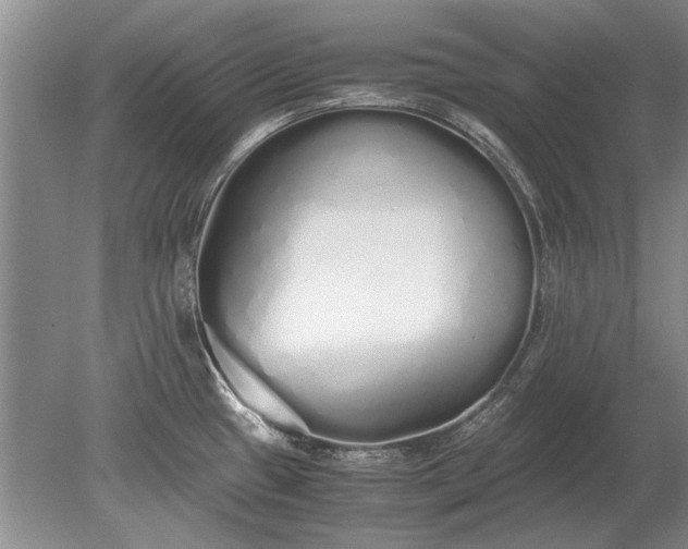 X0000079301433200612011738
