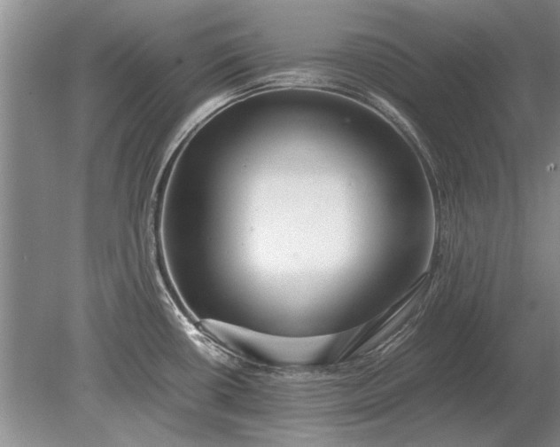 X0000079301434200612011738