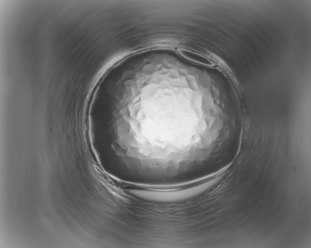 X0000079301435200612011738