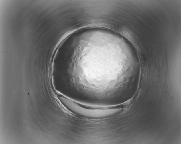 X0000079301436200612011738