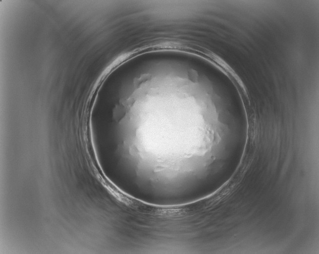 X0000079301437200612011738