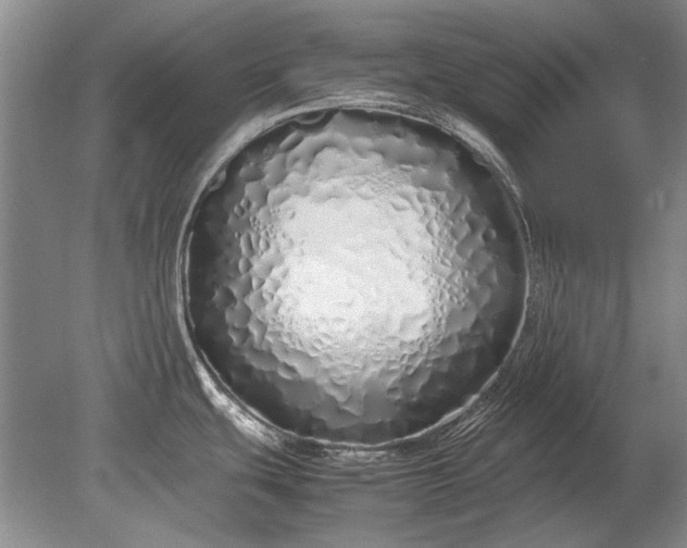 X0000079301439200612011738