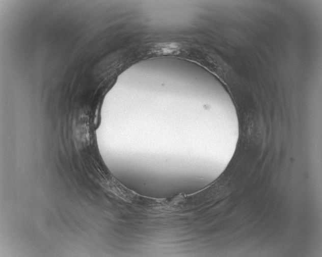 X0000079301442200612011737