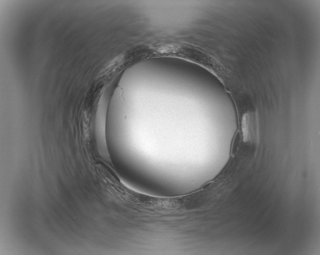 X0000079301443200612011737