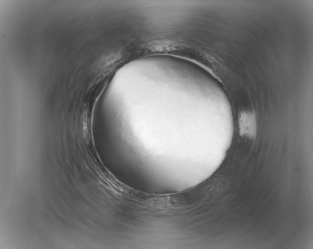 X0000079301444200612011737